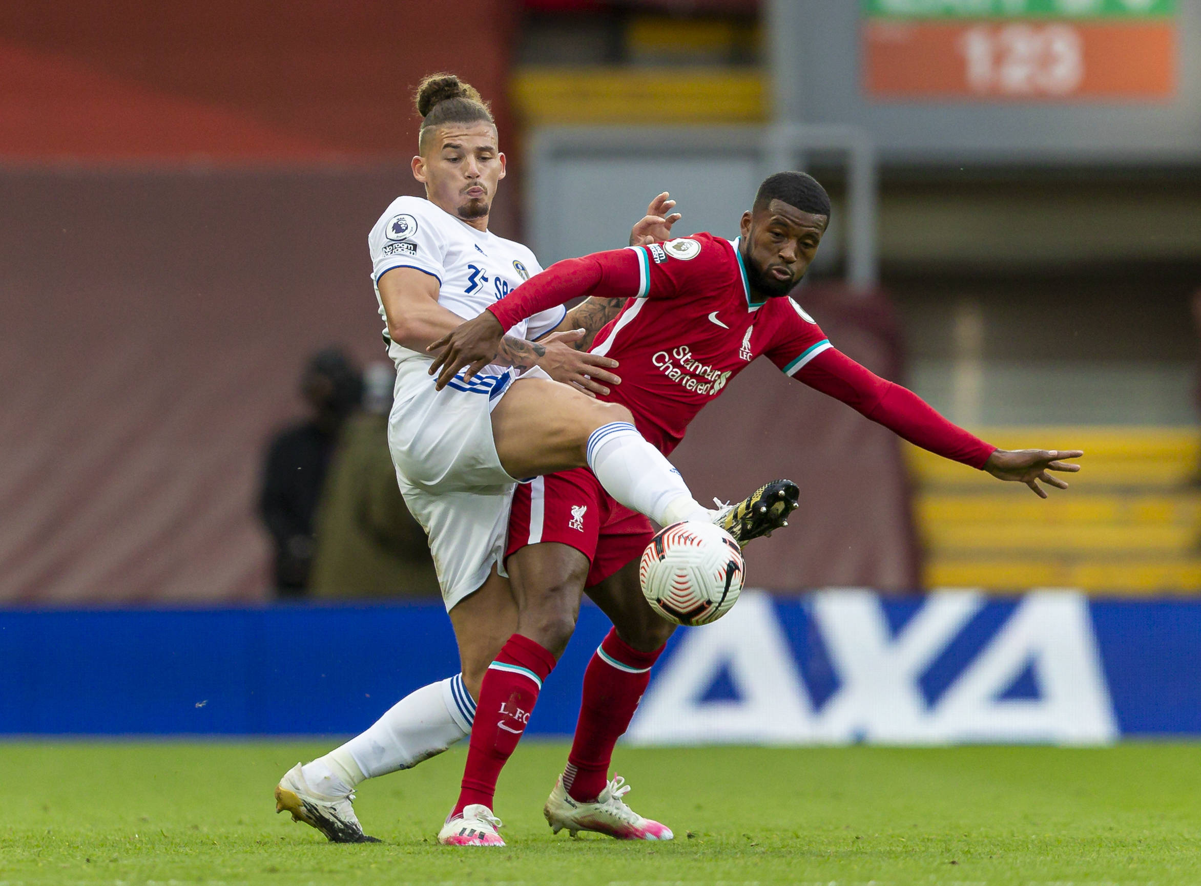 他不仅向库 他不仅向库